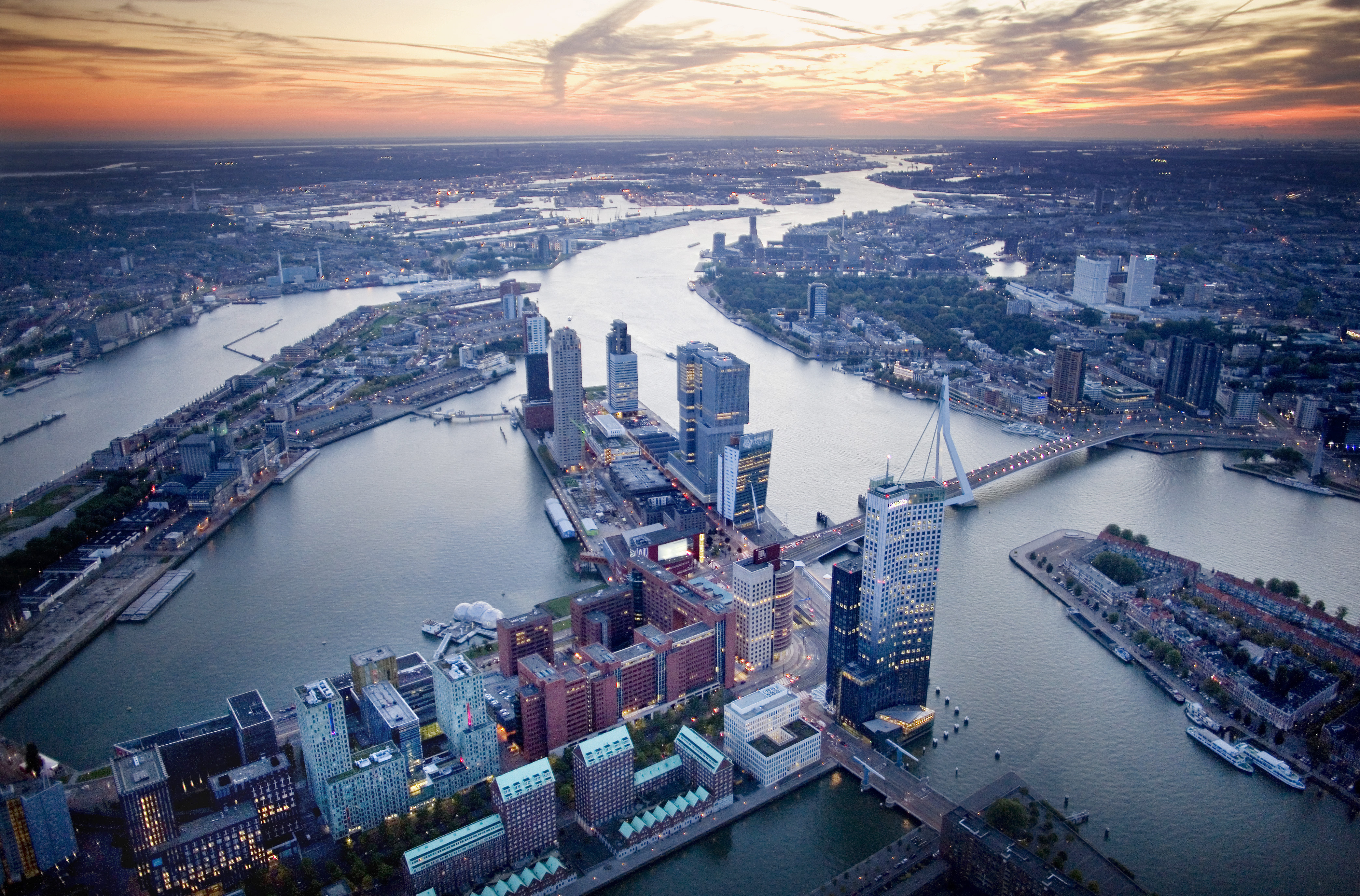 Rotterdam Partners header image